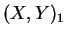 $ (X,Y)_{1}$